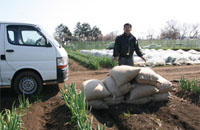 なないろ畑にとって、堆肥は「命」である。落ち葉での堆肥作り、米ぬかと木材チップでの堆肥作り、チョコレートを作った後に出るカカオの殻での堆肥作りなどに取り組んでいる。企業と協力して神奈川県内から出た生ごみを集め、堆肥にすることも始めた（ヤサイクル）。