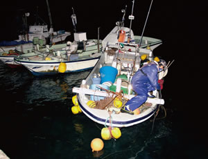 漁は正典さんの仕事。夜中の2時から刺網漁に出掛け、帰港は朝の5時ごろ。この後、釣り漁にでかけることも。