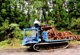 フォワーダー（造材された木材を積み込んで運搬する特殊車両）で、木材を慎重に積み上げていく。切り出されたこれらの杉材は、主に合板用として出荷される。