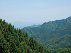 埼玉県北西部の豊かな自然。