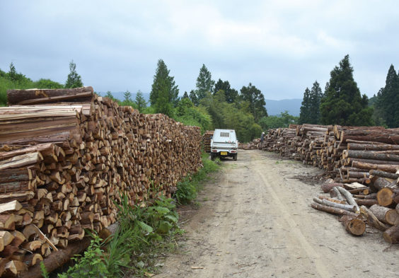 薪用の木材